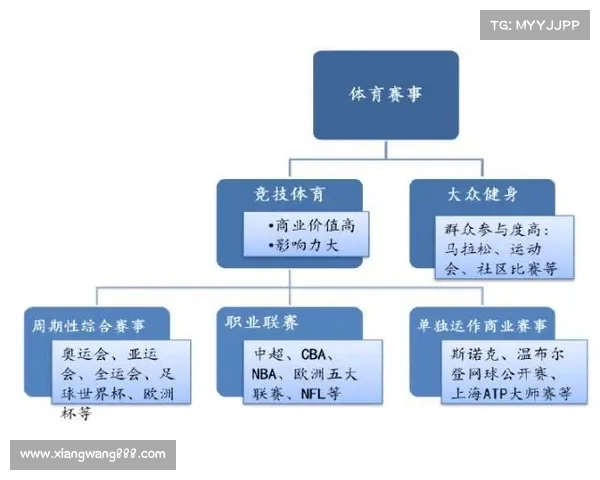 赛事收费模式创新与公平性探讨推动赛事产业可持续发展